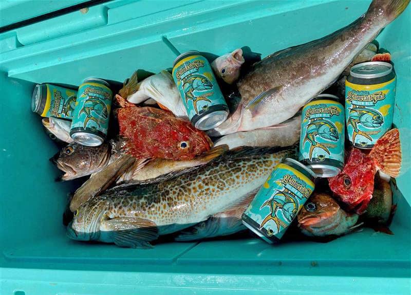 BD Launches YellowtailTuna Golden Ale