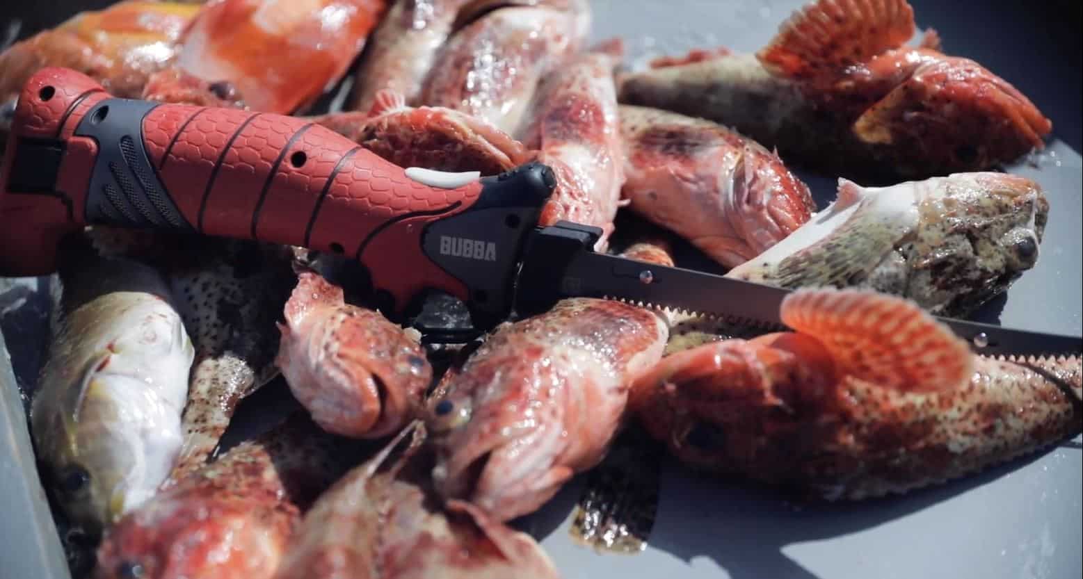 BUBBA Lithium Ion Cordless Fillet Knife