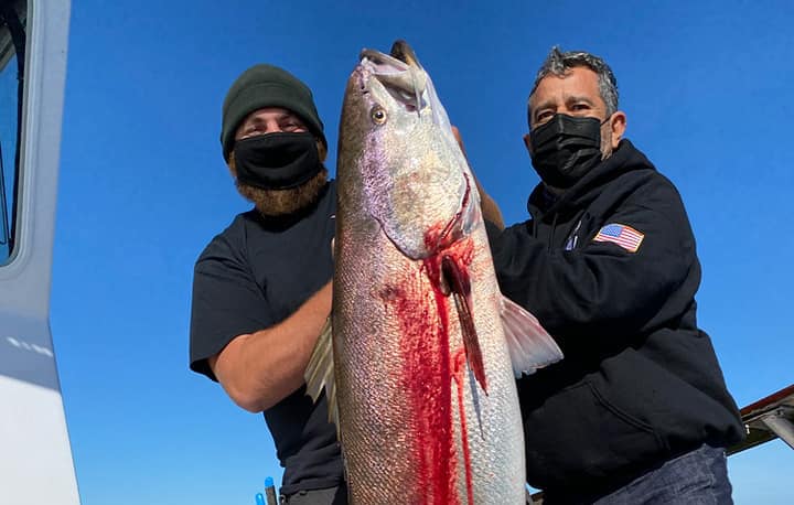SoCal Fishing Season Is Heating Up
