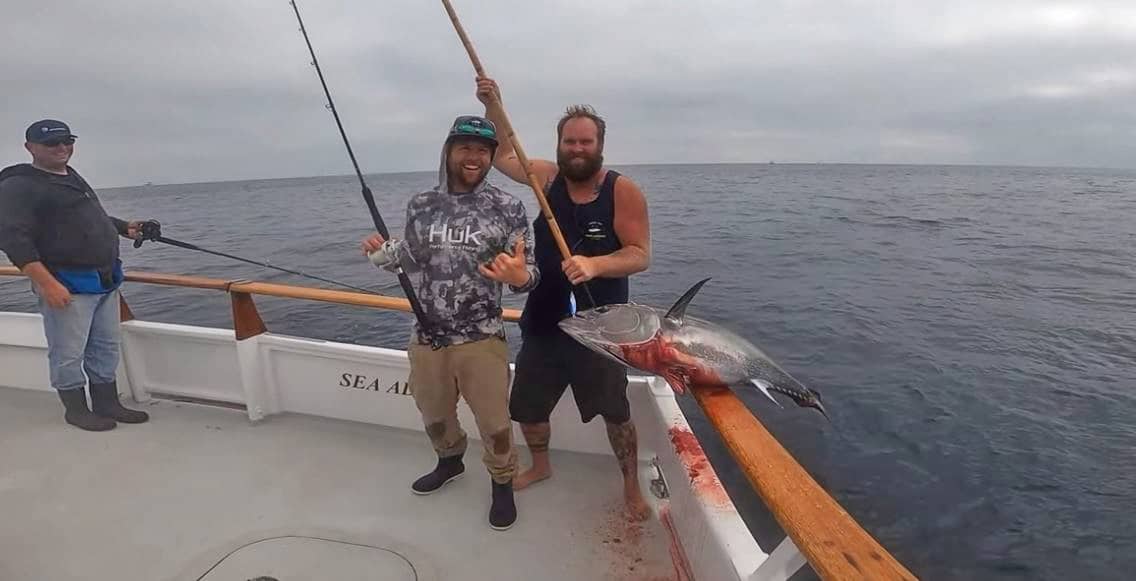 Bluefin Bonanza For Sportboat Fleet bluefin reports