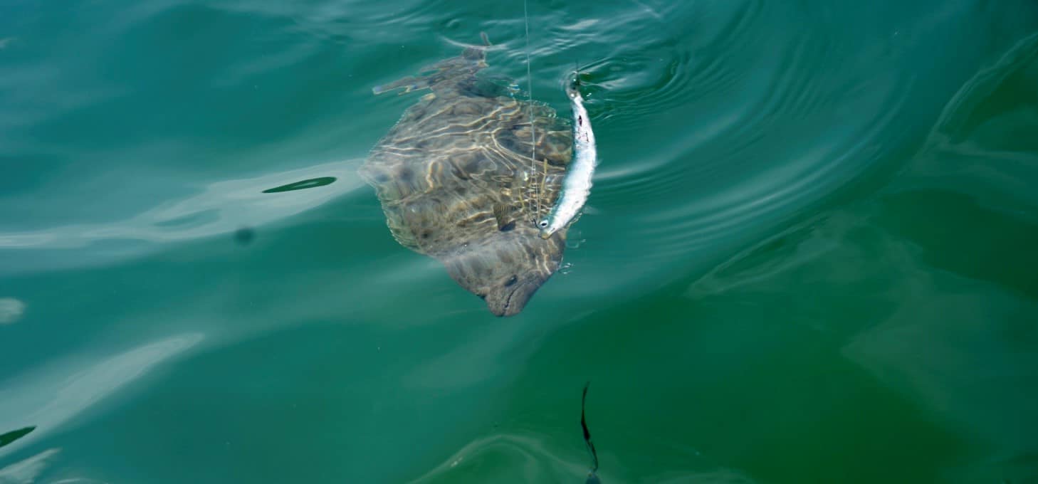 SD Bay Feels Like Home