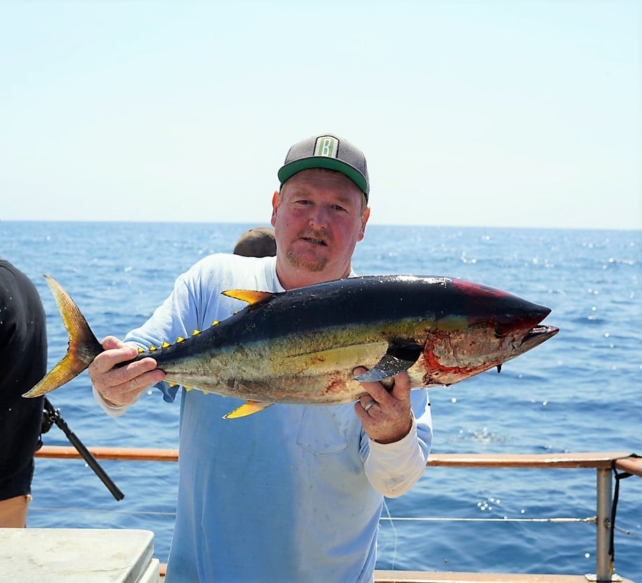 Blue Frustration – But Yellow Is Coming