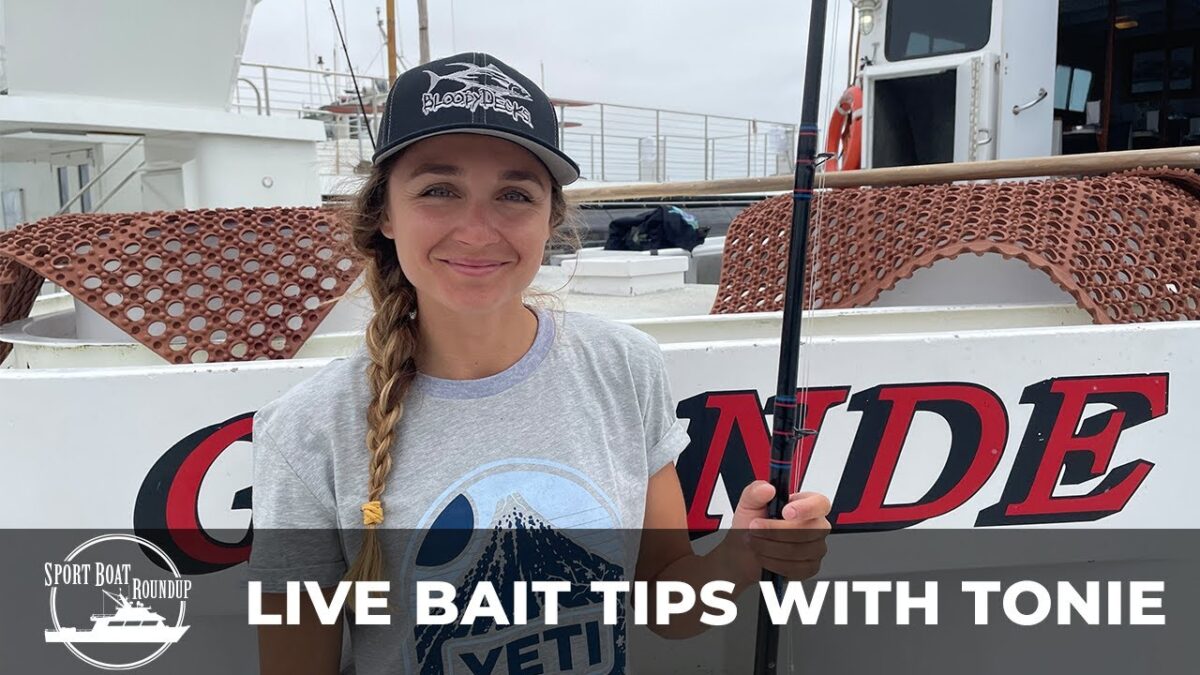 San Diego Report: Sportboat Roundup Sportboat Roundup: Live Bait Tips with Tonie