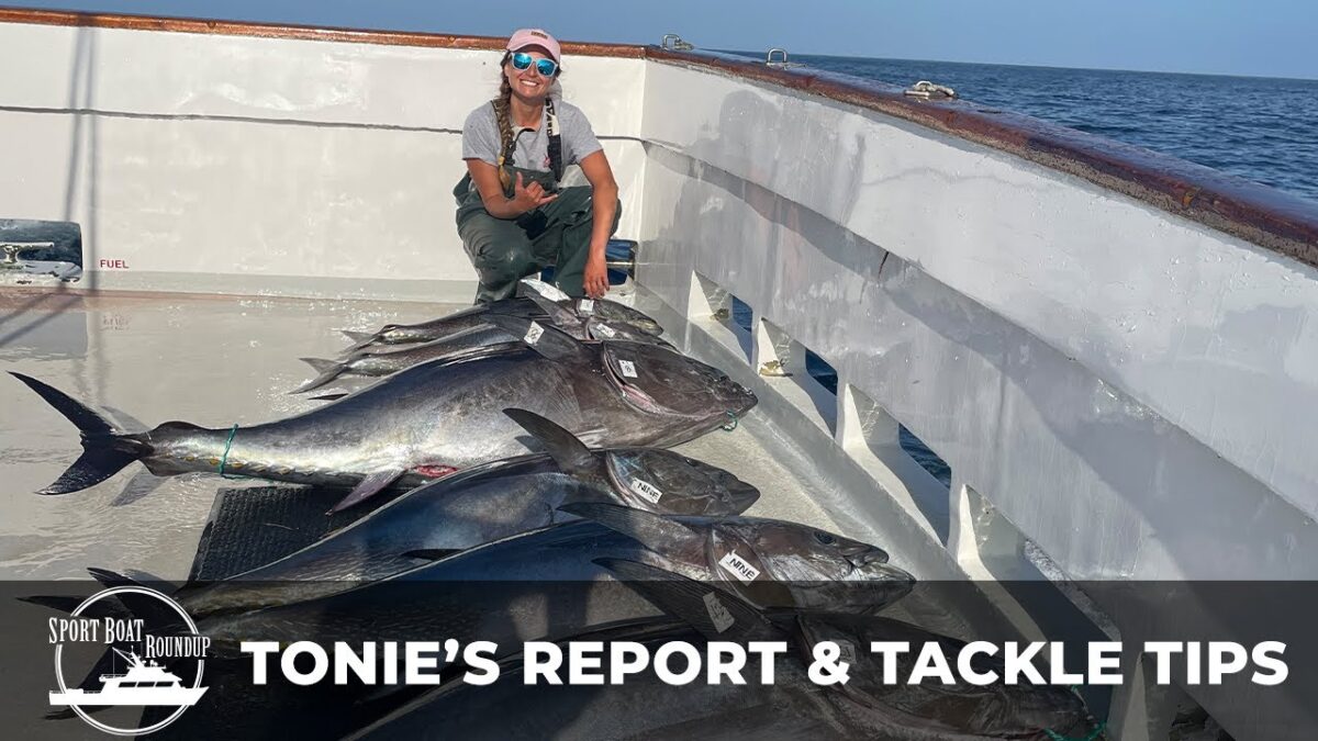 San Diego Report: Sportboat Roundup with Tonie Bangos Sportboat Roundup: Tonie's Report & Tackle Tips