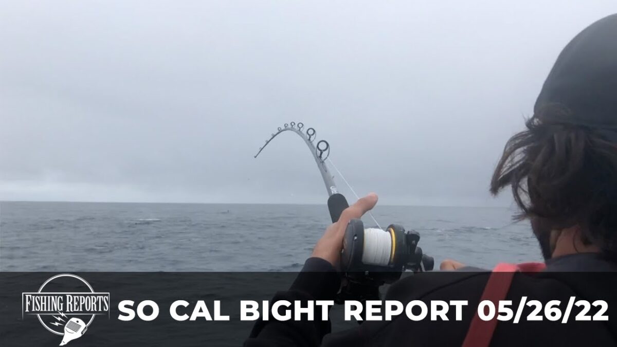 Southern California Bight Fishing Report with Erik Landesfeind Fishing Reports: SoCal Bight Report 05/26/22