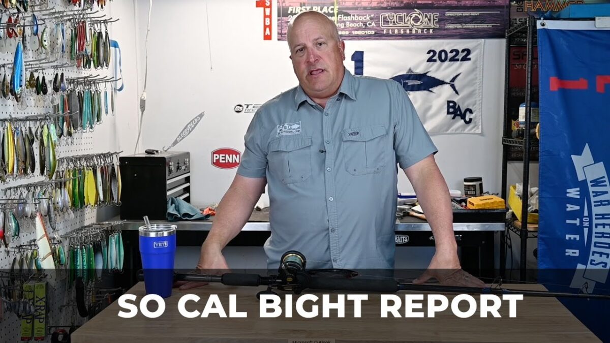 SO CALIFORNIA BIGHT FISHING REPORT WITH ERIK LANDESFEIND SoCal Bight Report