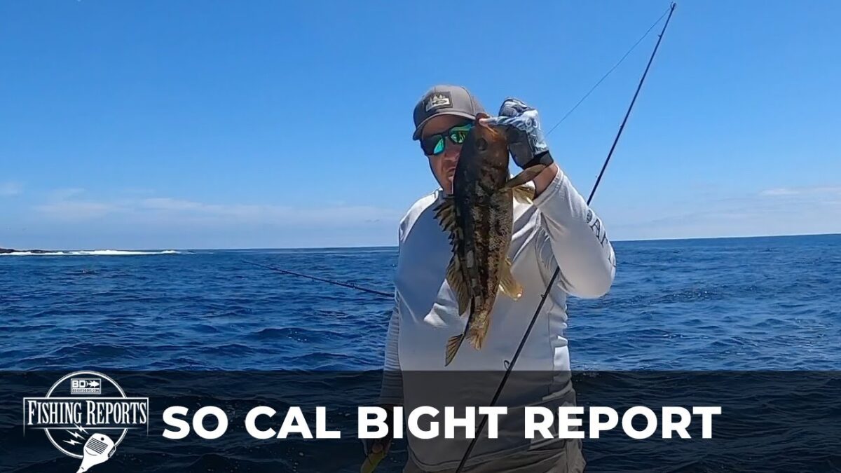So Cal Bight Fishing Report with Erik Landesfeind Fishing Reports: SoCal Bight Report