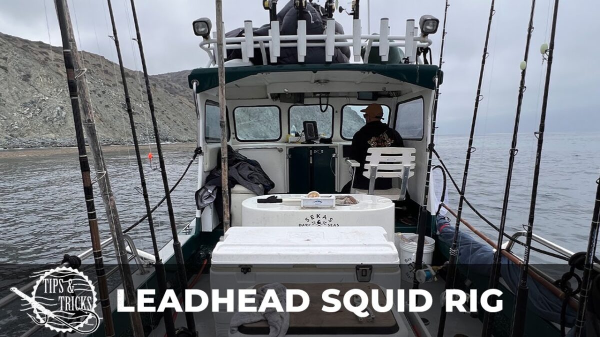 Leadhead Squid Rig for White Sea bass a deadly technique Tips & Tricks: Leadhead Squid Rig