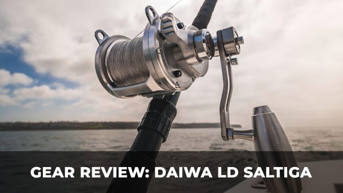 DAIWA Saltiga Lever Drag 60 review and more Gear Review: Daiwa LD Saltiga