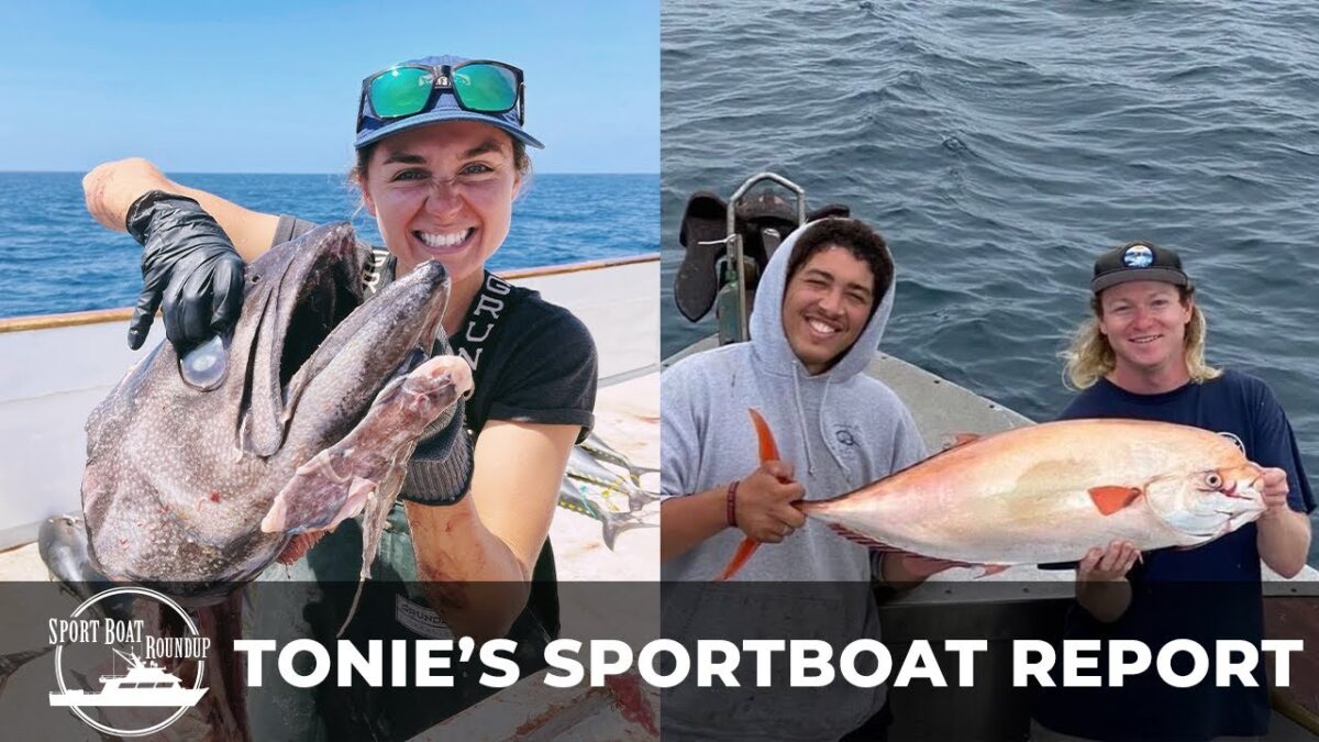 Sportboat Roundup with Tonie Bangos Sportboat Roundup: Tonie's Sportboat Report