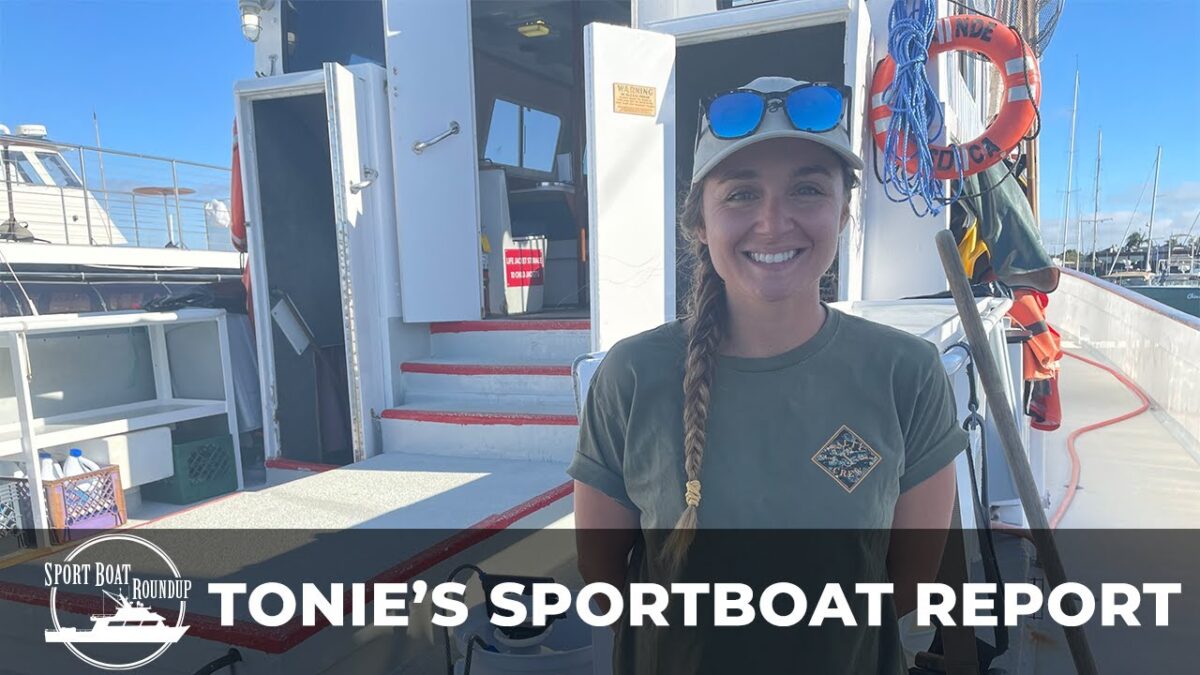 Sportboat Roundup: Tonie's Sportboat Report