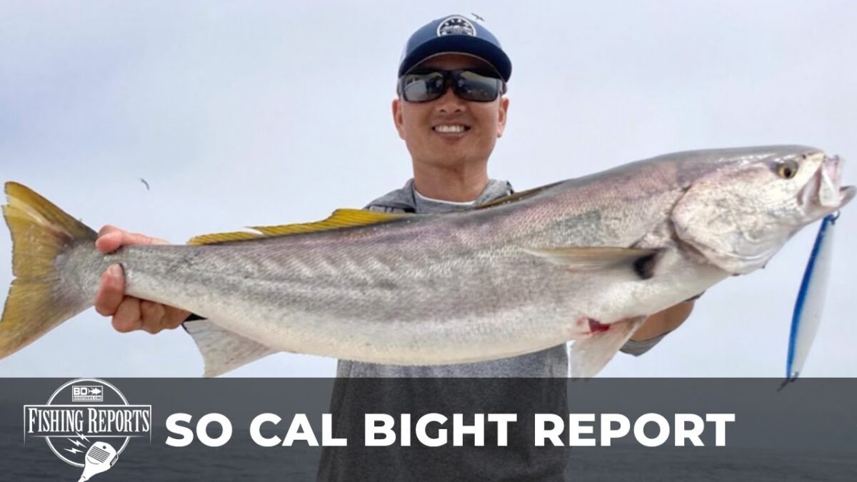 SO CAL BIGHT FISHING REPORT WITH ERIK LANDESFEIND Fishing Reports: SoCal Bight Report
