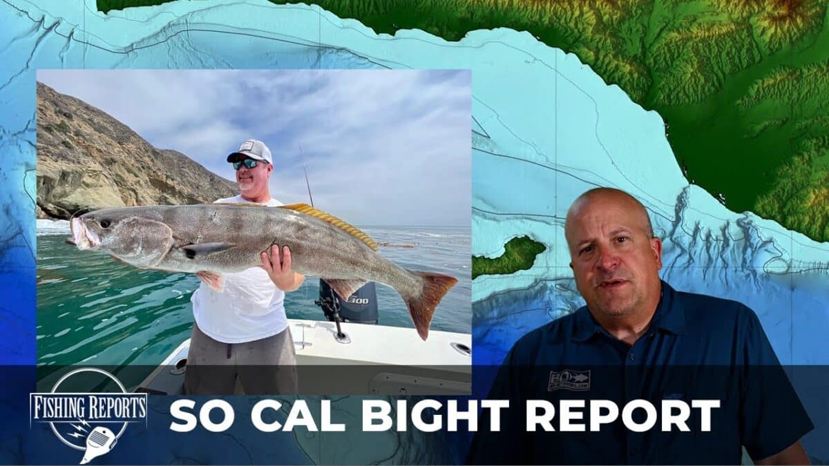 SO CAL BIGHT FISHING REPORT WITH ERIK LANDESFEIND Fishing Reports: Southern California Bight Fishing Report