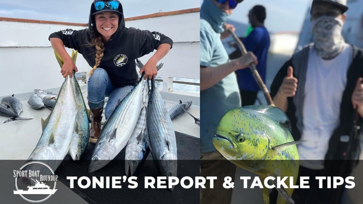 Sportboat Roundup Tonie's Report & Tackle Tips