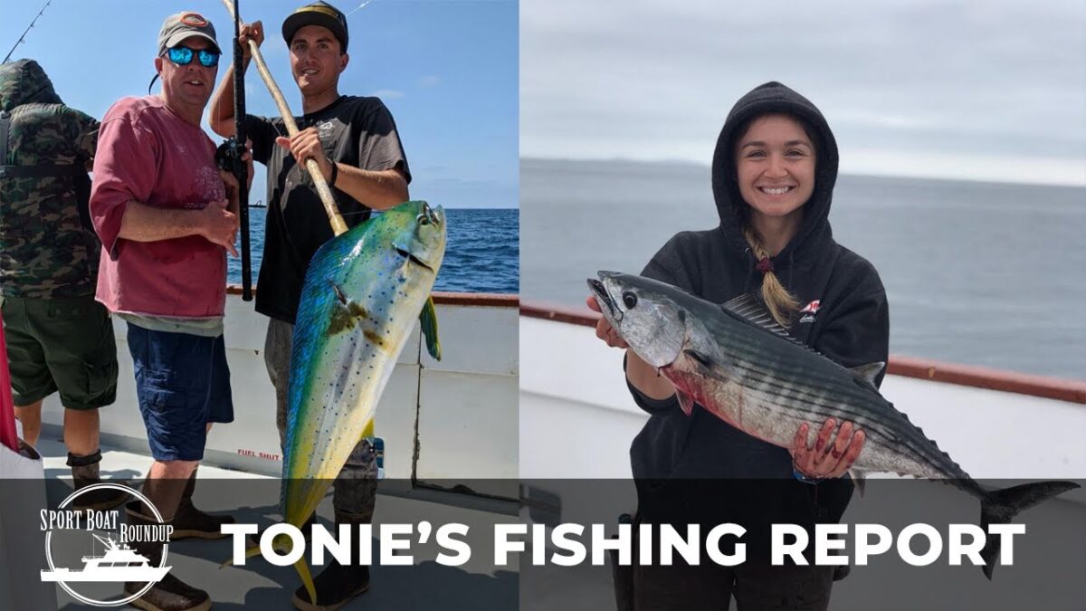 Sportboat Roundup: Tonie's Fishing Report