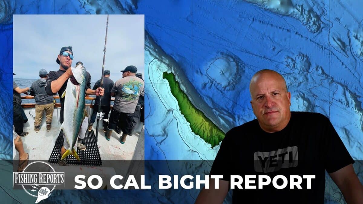 SO CAL BIGHT FISHING REPORT WITH ERIK LANDESFEIND Fishing Reports: SoCal Bight Report