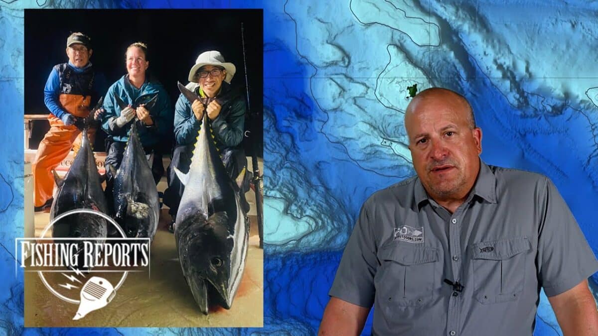SO CAL BIGHT REPORT WITH ERIK LANDESFEIND Fishing Reports