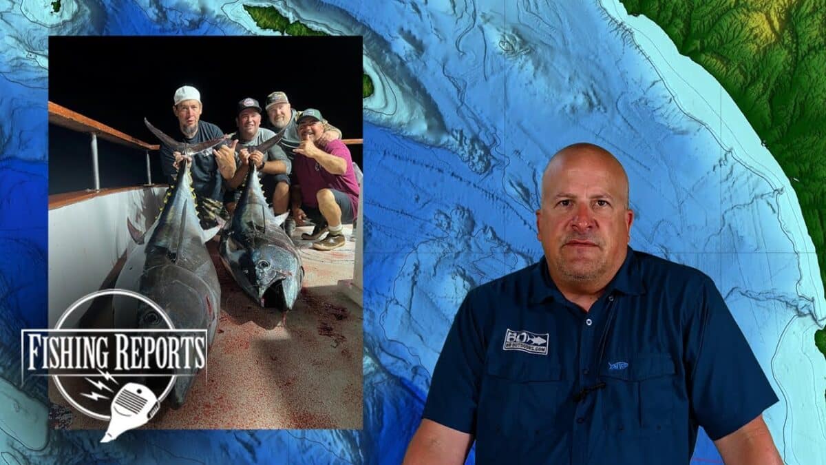 SO CAL BIGHT FISHING REPORT WITH ERIK LANDESFEIND Fishing Reports: Southern California Bight Fishing Report