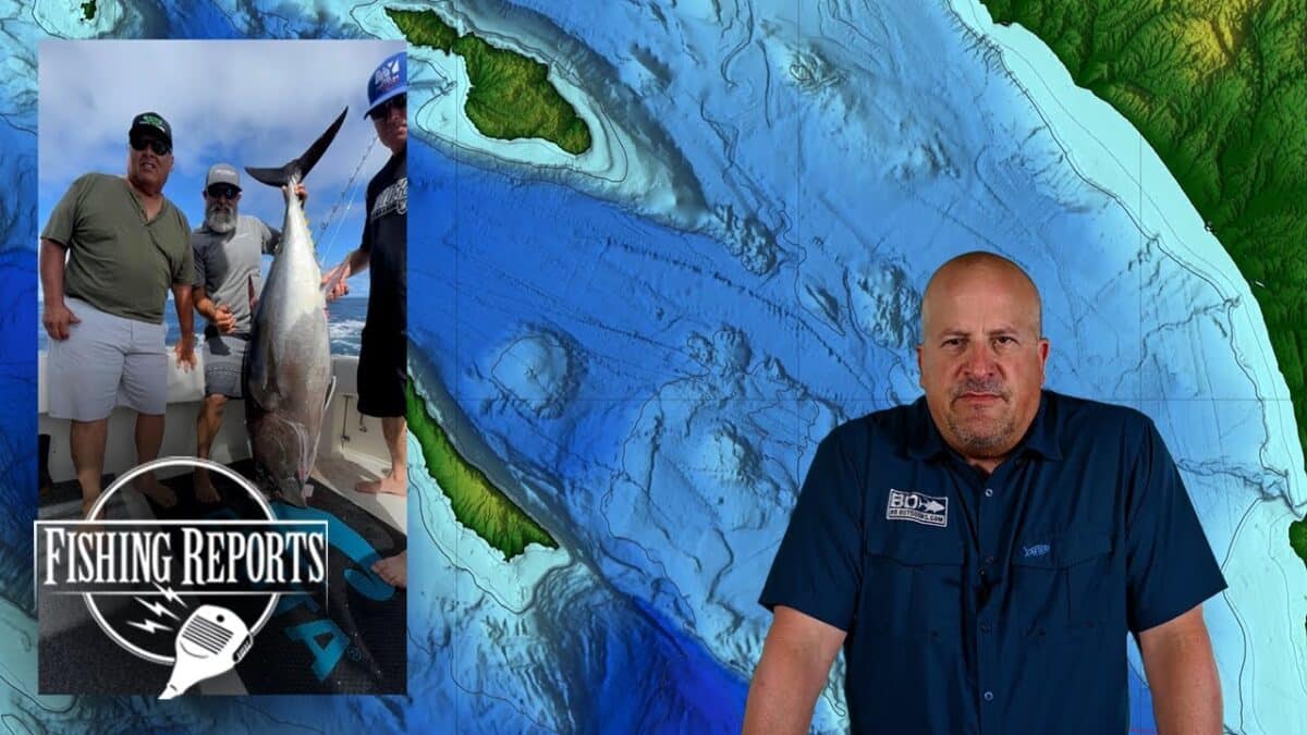 SO CAL BIGHT FISHING REPORT WITH ERIK LANDESFEIND