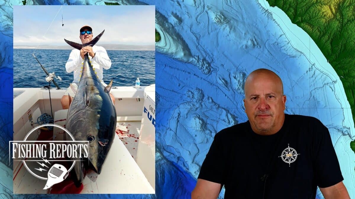 SO CAL BIGHT FISHING REPORT WITH ERIK LANDESFEIND
