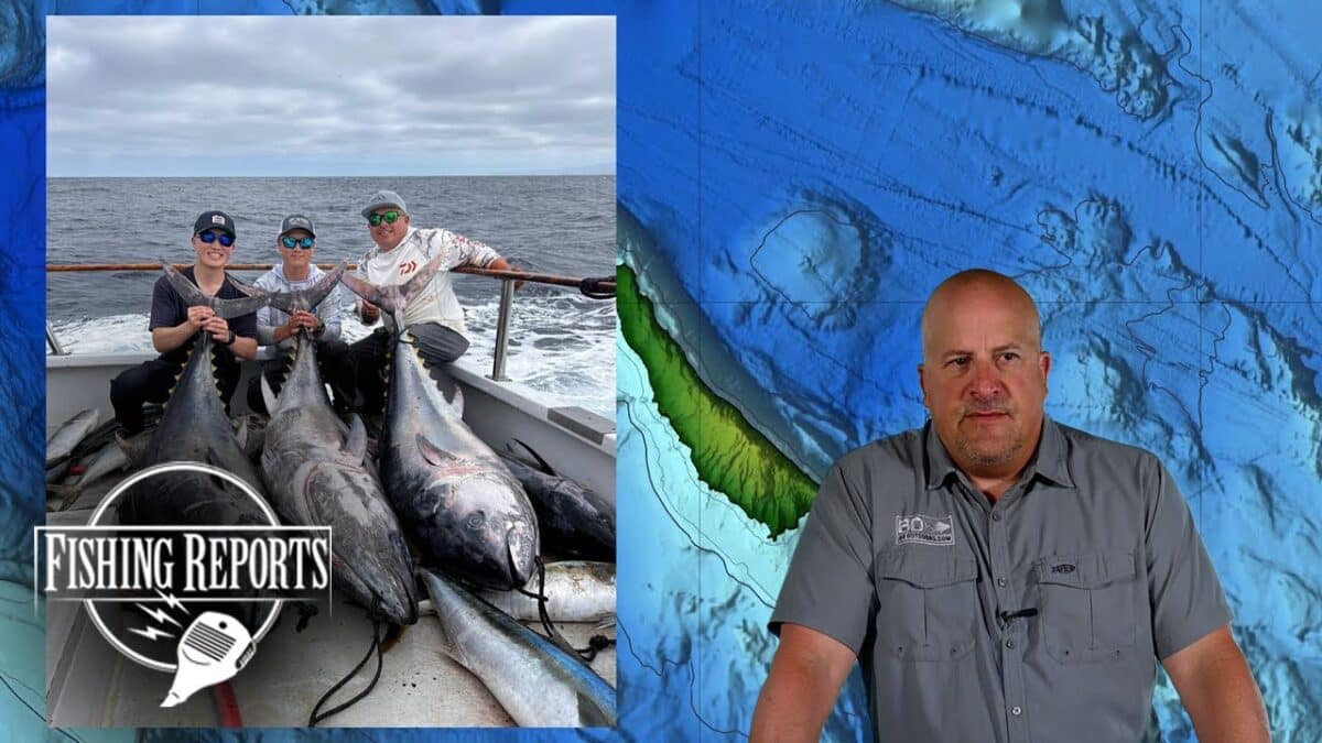 SO CAL BIGHT FISHING REPORT WITH ERIK LANDESFEIND Fishing Reports with Erik Landesfeind