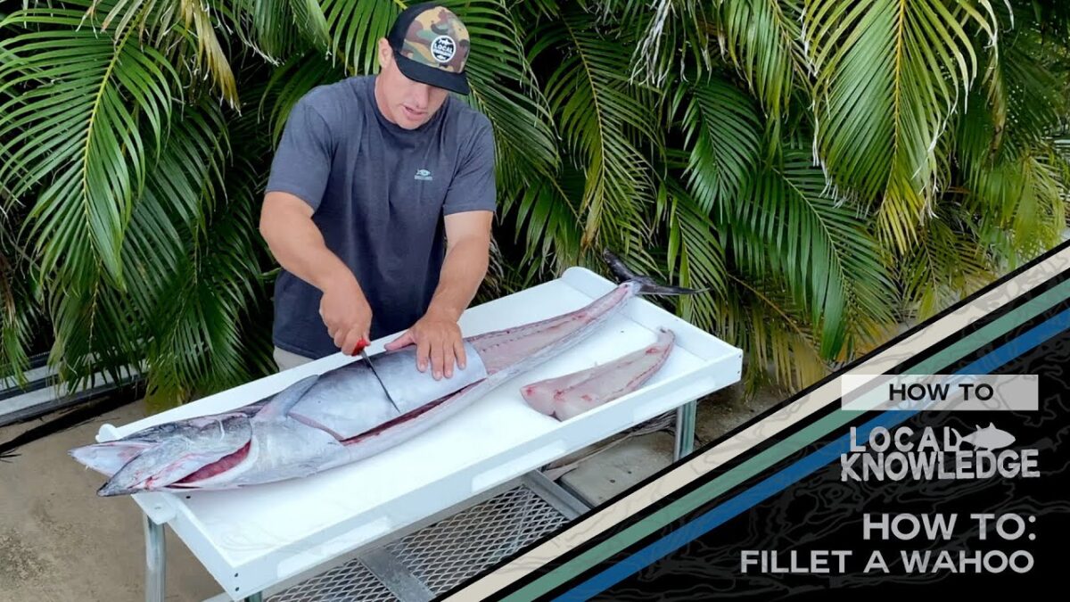 LOCAL KNOWLEDGE | HOW TO FILET A WAHOO WITH CAPTAIN RUSH MALTZ Local Knowledge How To: Fillet a Wahoo