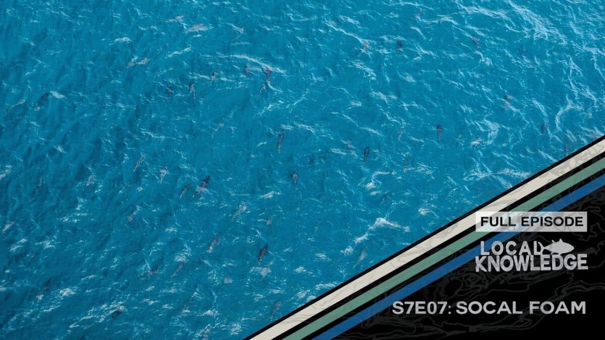 Local Knowledge: SoCal Foam S7 E07