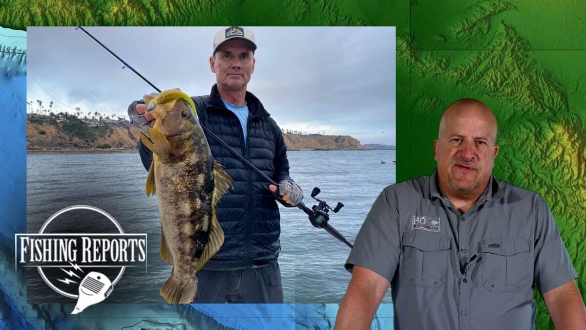 SoCal Bight Fishing Report with Erik Landesfeind