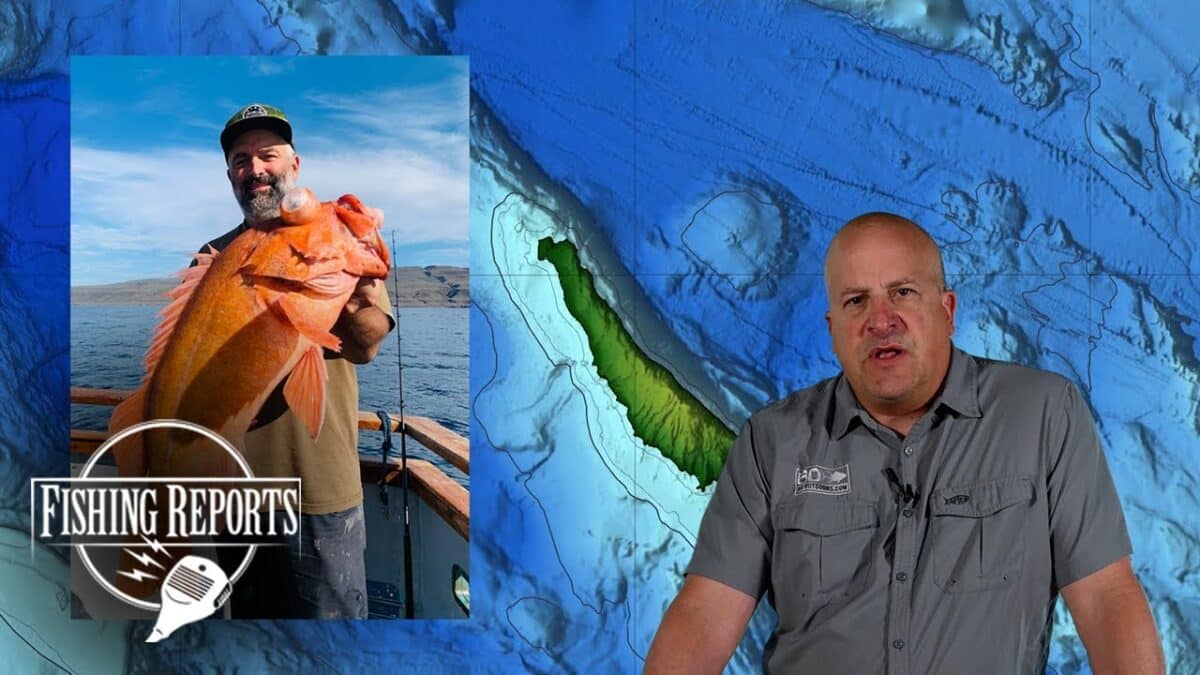 SoCal Bight Fish Report with Erik Landesfeind