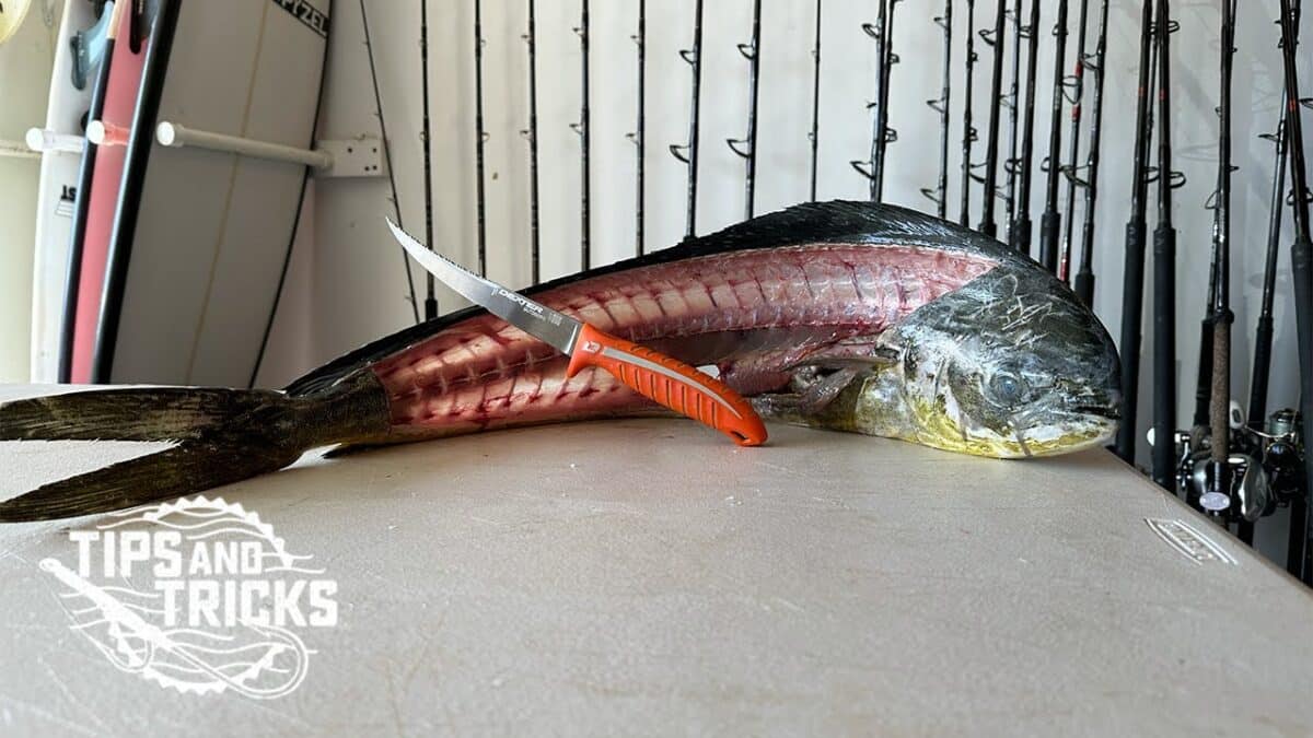 How-to Filet Mahi Mahi