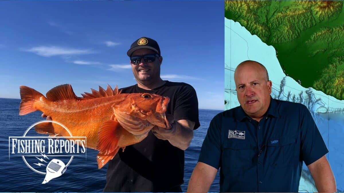 SoCal Bight Fish Report with Erik Landesfeind