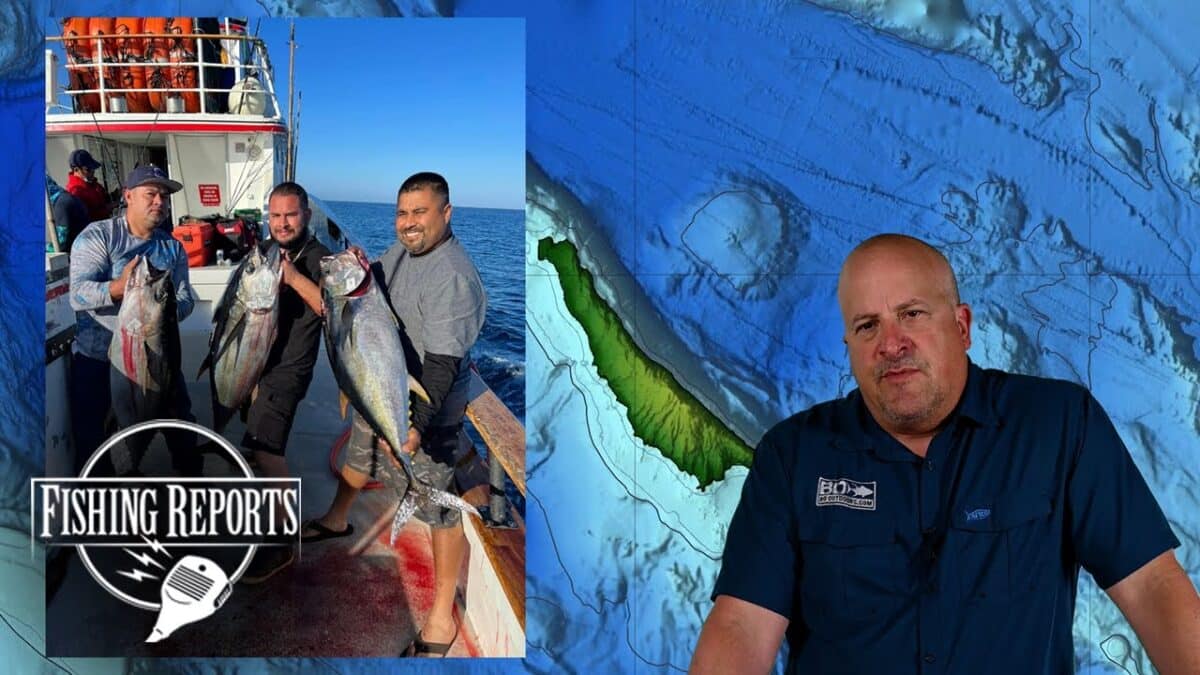 SoCal Bight Fishing Report with Erik Landesfeind