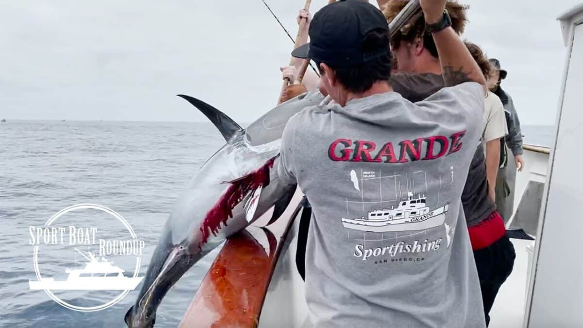 Sportboat Roundup – Tonie’s Bluefin Tuna Gear and Tackle Recommendations