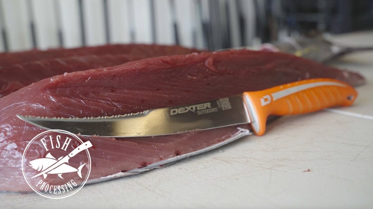 How-to Filet a Bluefin Tuna
