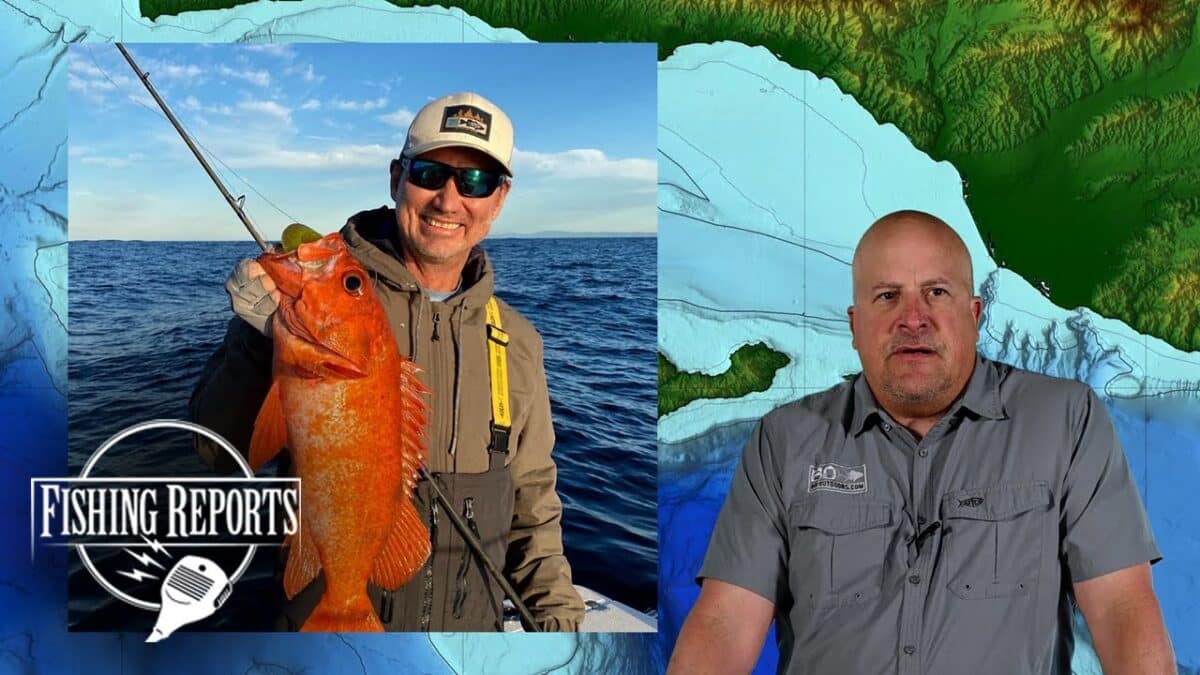 SoCal Bight Fish Report with Erik Landesfeind