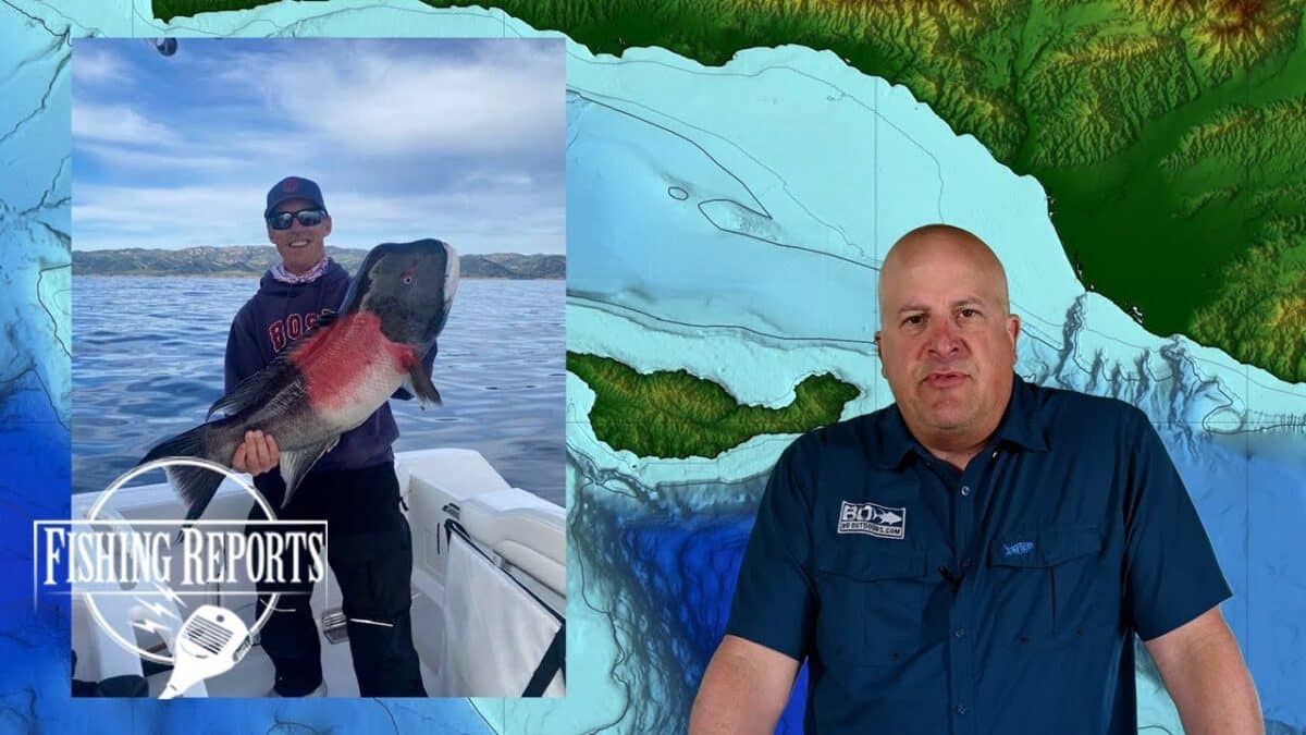 SoCal Bight Fish Report with Erik Landesfeind