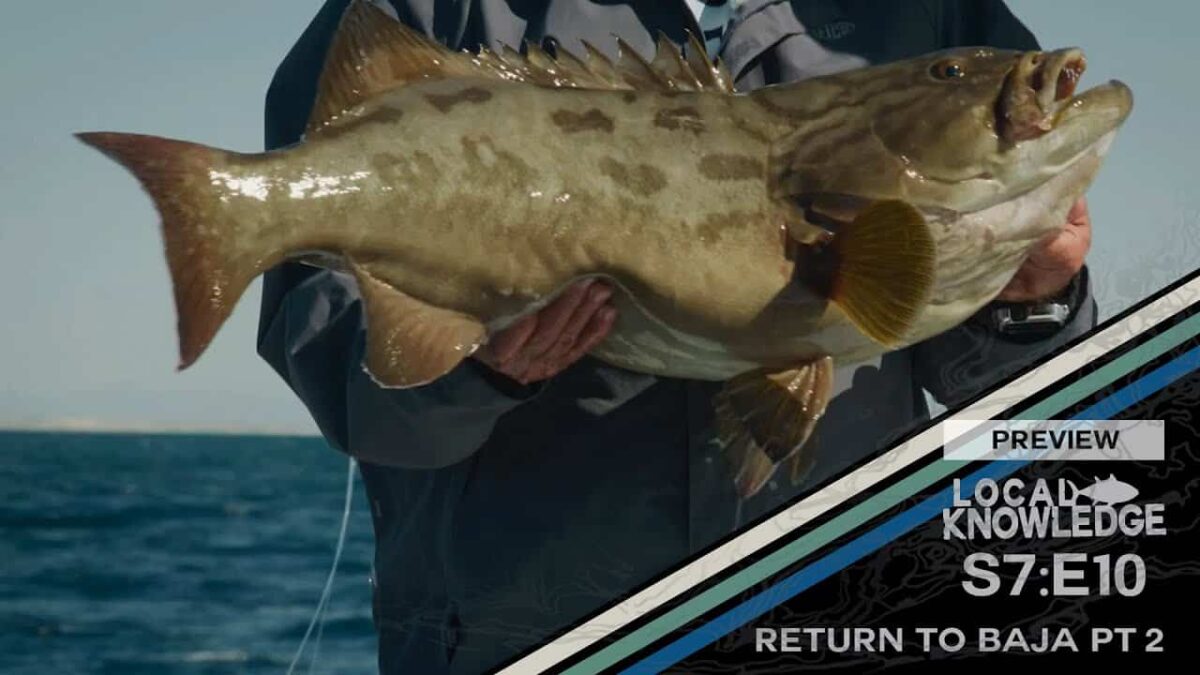 Local Knowledge: The Return to Baja Pt 2 S07 E10 | Episode Preview