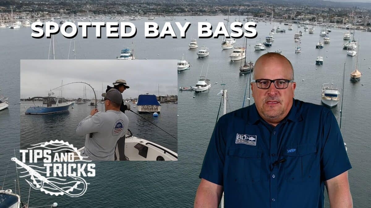 Breaking Down Bays and Harbors – SoCal Bight Fishing Academy Ep. 2