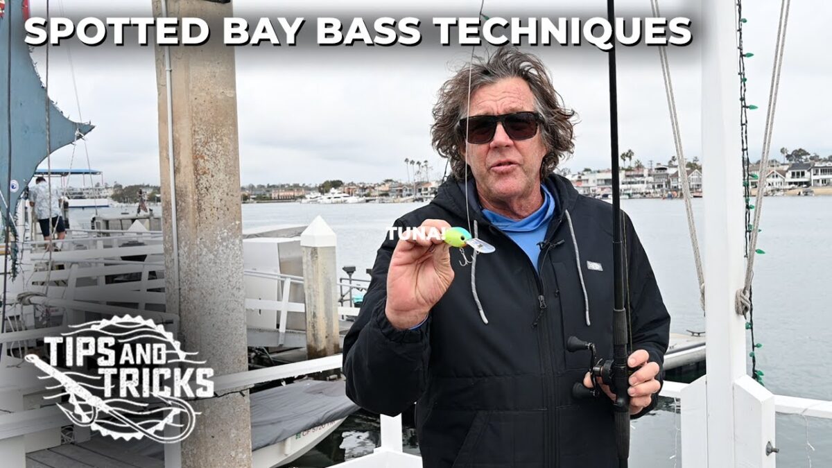 Spotted Bay Bass Techniques – SoCal Bight Fishing Academy Ep. 3